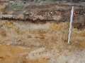 Nadzór archeologiczny nad budową salonu samochodowego Opel w Gliwicach (4)