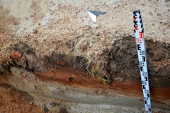 Mielec usługi archeologiczne