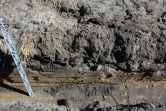 Mielec prace archeologiczne
