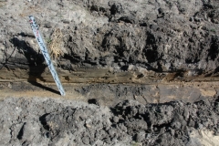 Mielec archeologia