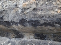Bieruń badania archeologiczne