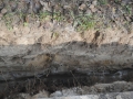 Bieruń nadzór archeologiczny