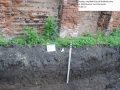 Przemyśl ul. Mickiewicza (6)