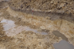 Żory nadzór archeologiczny