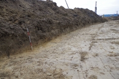 Żory prace archeologiczne