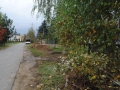 Rzeszów Zygmunta Starego (1)