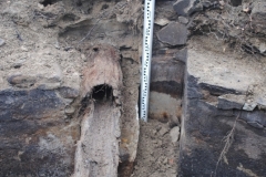 Tyczyn prace archeologiczne