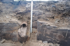 Tyczyn archeologia