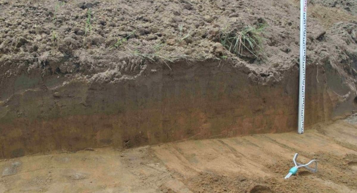Doczyszczanie profilu podczas badań archeologicznych